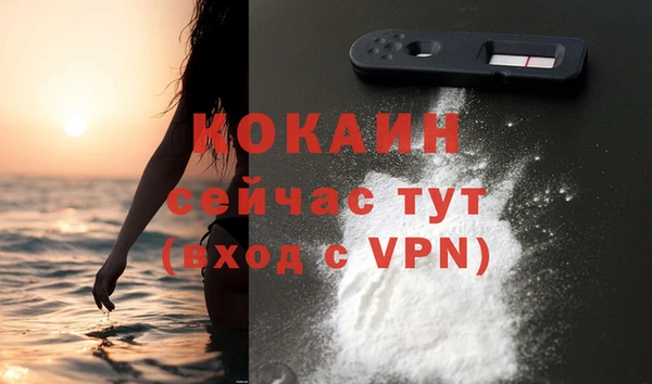 сатива Липки