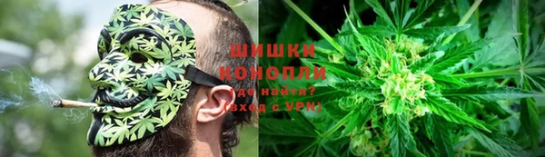 сатива Липки